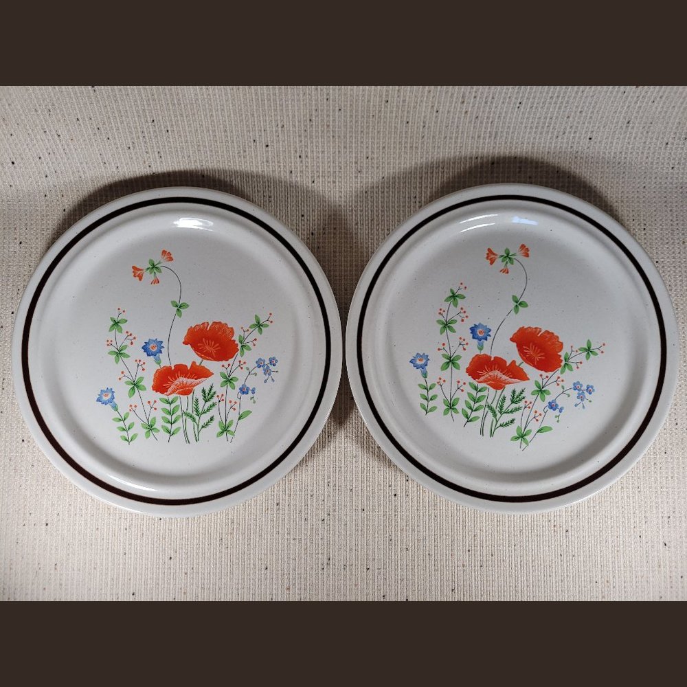 Haniwa Stoneware Mayfield – Pair of Vintage Dinner Plates